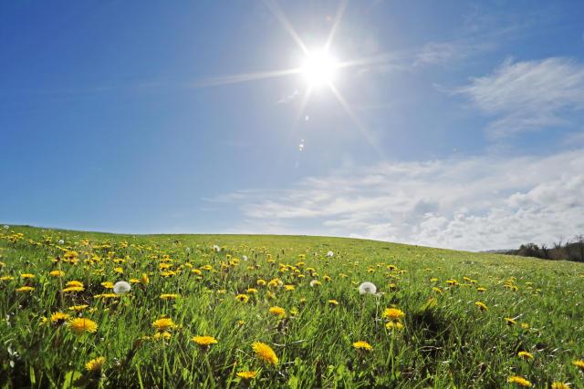 Stage d'été à Bellaffaire, du mercredi 23 juillet au vendredi 25 juillet 2025