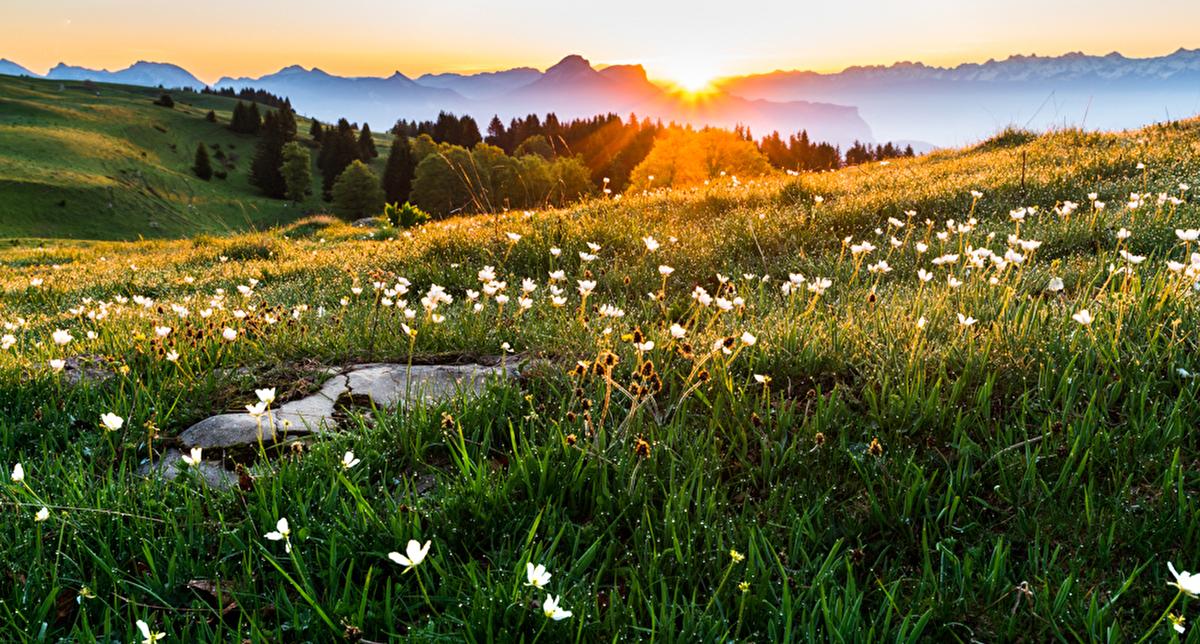 ATELIER DU 7 AVRIL 2026 " LE PRINTEMPS "